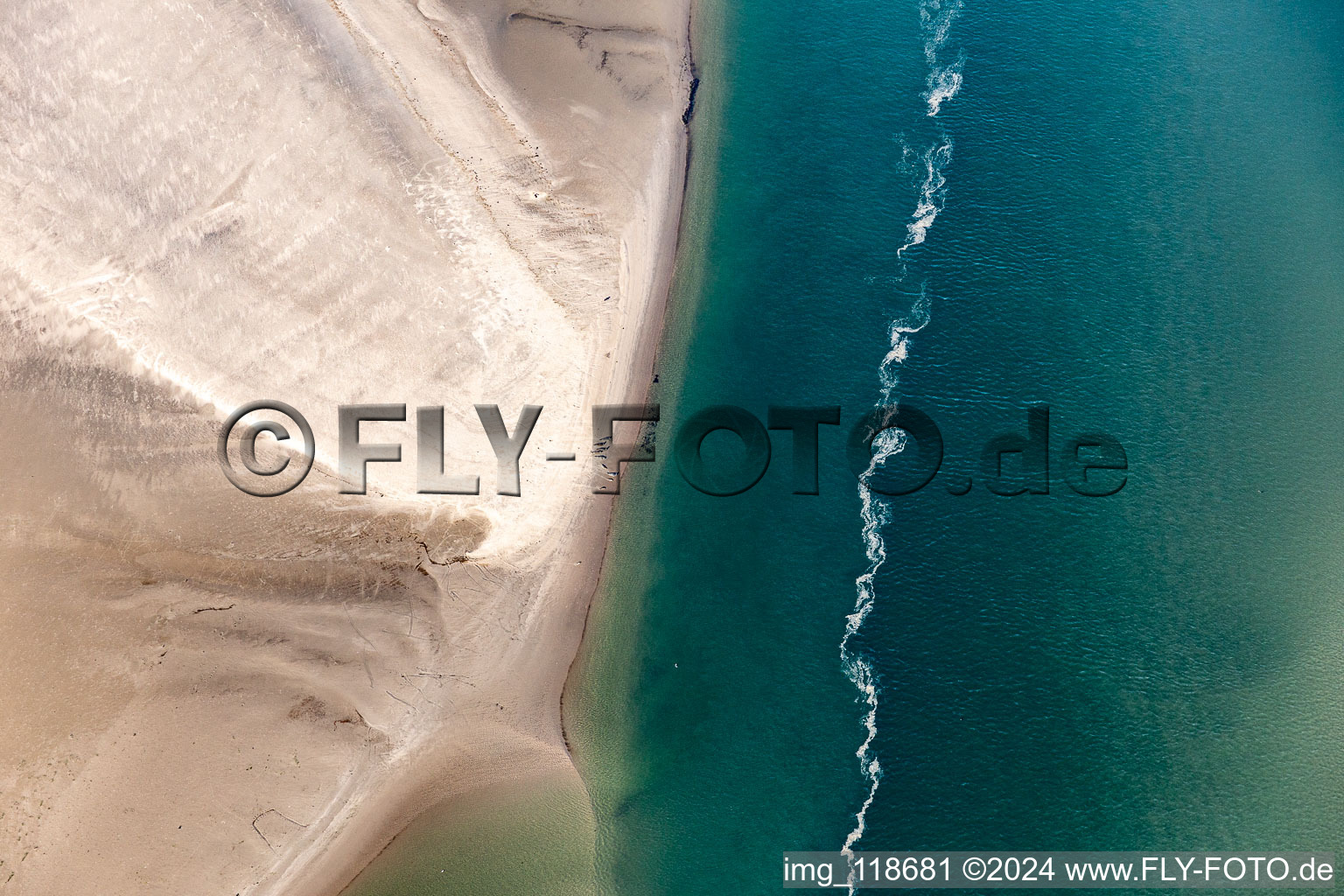 Aerial photograpy of Seals on a Sand bankarea at the sourthern coast of Fanoe in Syddanmark, Denmark