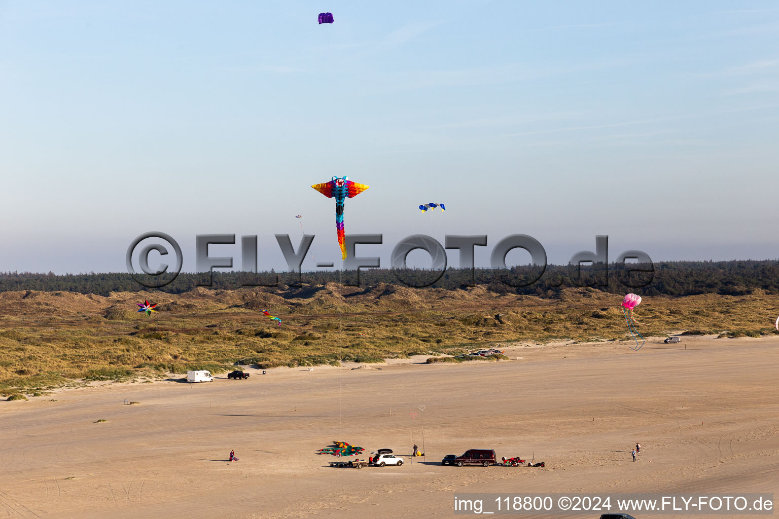 Aerial view of Kites on the beach in Fanø in the state South Denmark, Denmark