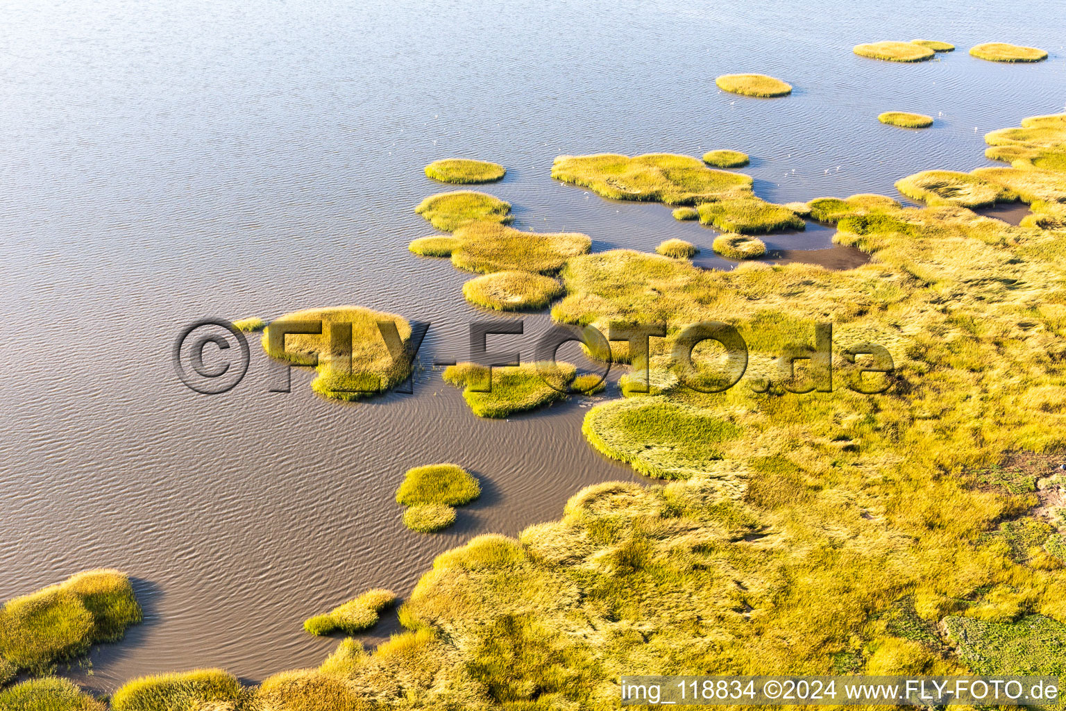 Wadden Sea National Park in Fanø in the state South Denmark, Denmark from a drone