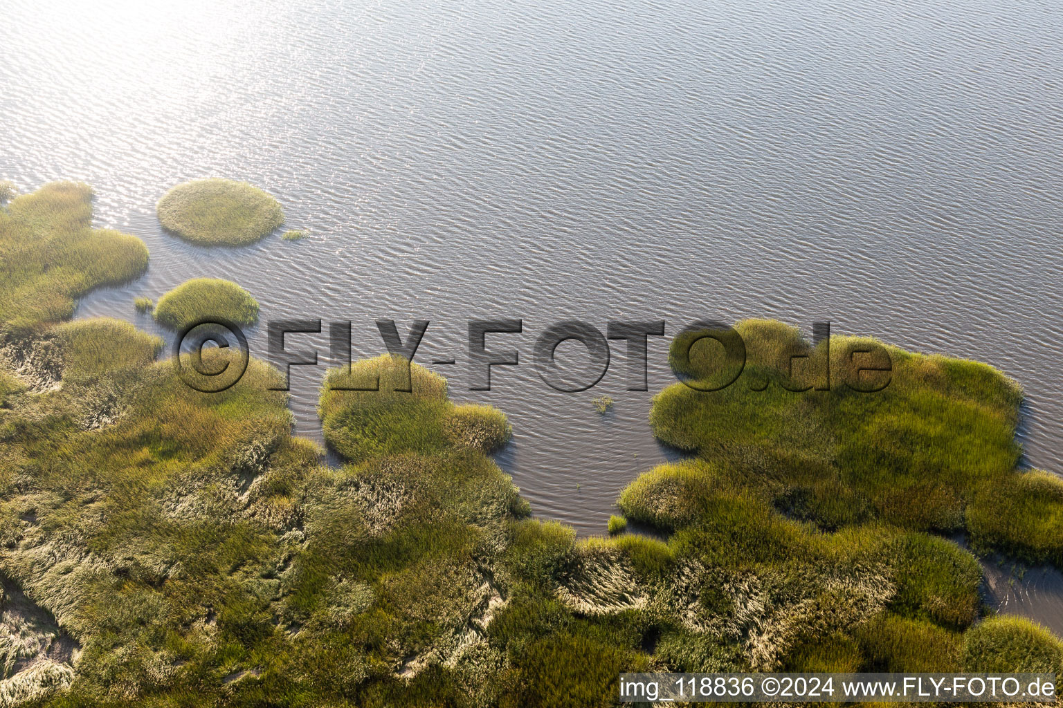 Wadden Sea National Park in Fanø in the state South Denmark, Denmark seen from a drone