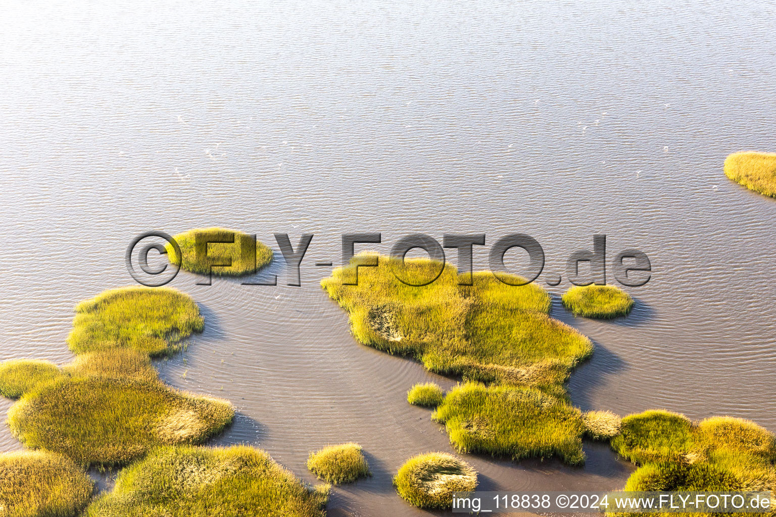 Aerial photograpy of Wadden Sea National Park in Fanø in the state South Denmark, Denmark