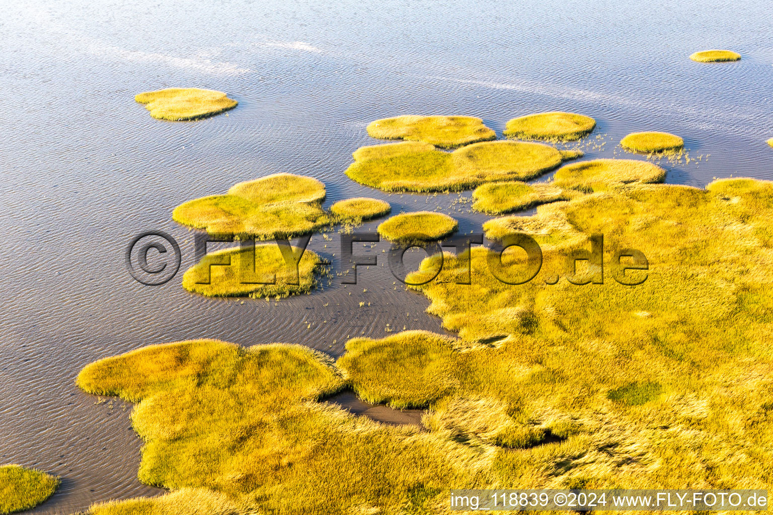 Oblique view of Wadden Sea National Park in Fanø in the state South Denmark, Denmark