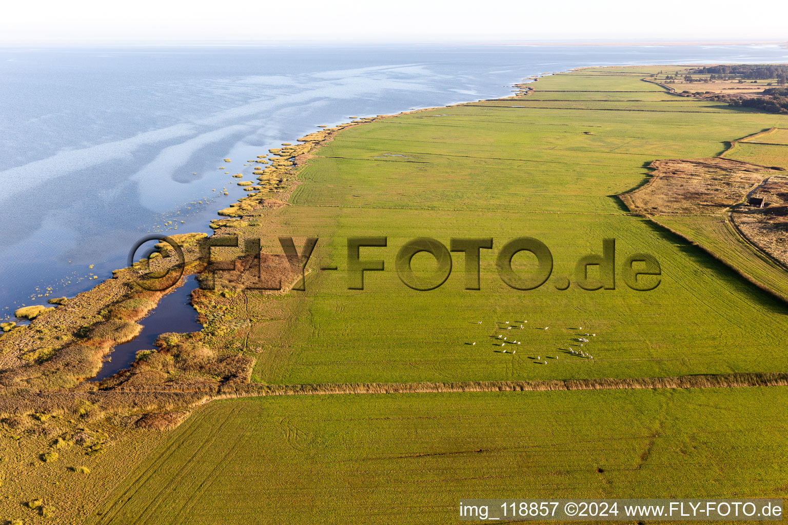 Wadden Sea National Park in Fanø in the state South Denmark, Denmark from the plane