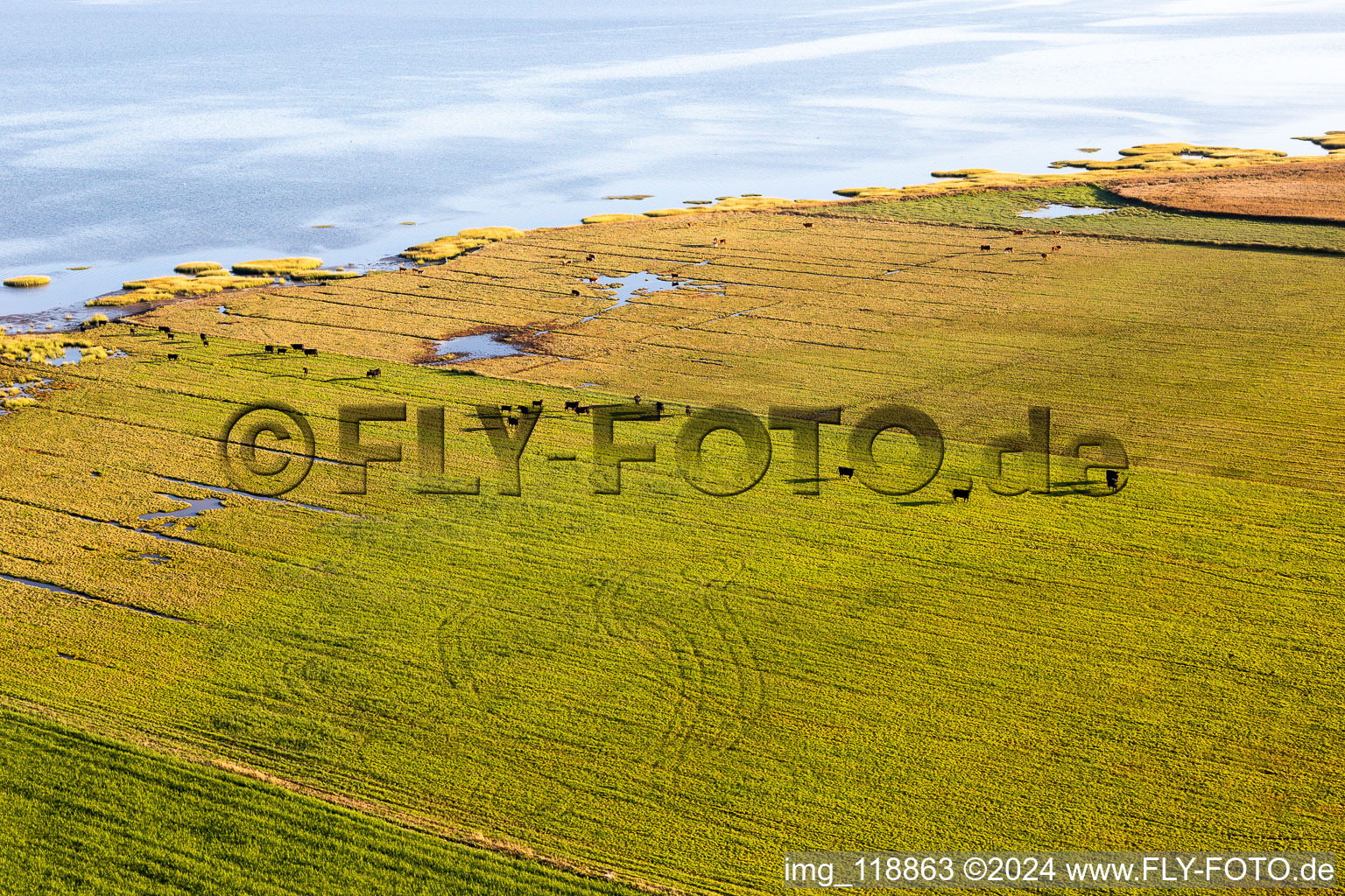 Wadden Sea National Park in Fanø in the state South Denmark, Denmark viewn from the air