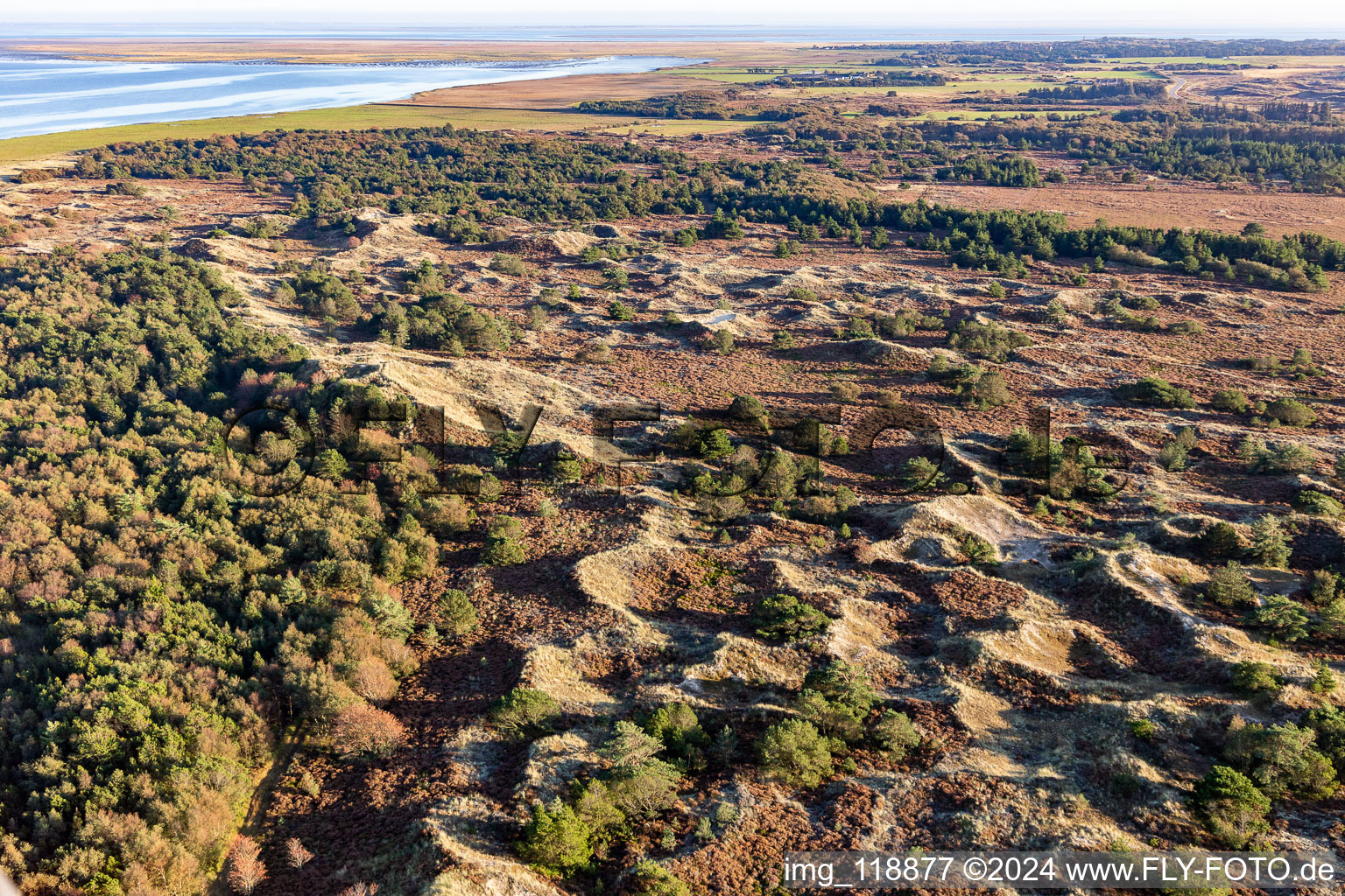 Wadden Sea National Park in Fanø in the state South Denmark, Denmark from a drone