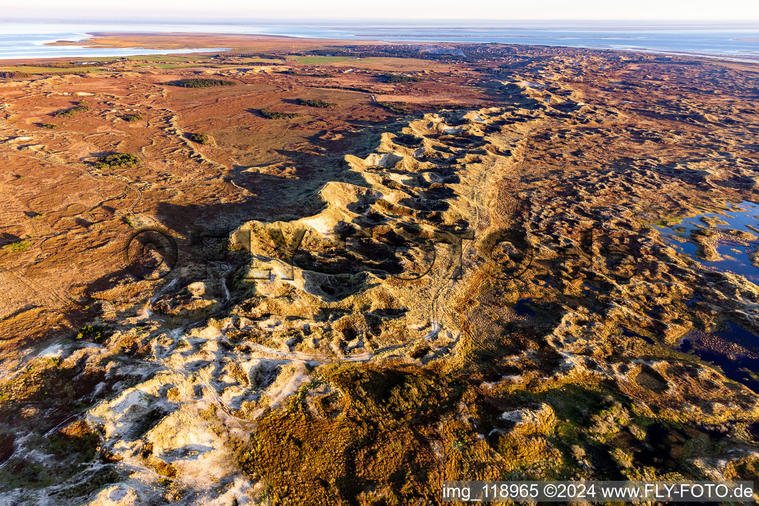 Sand dunes and coast landscape in national-parc wadden sea on the island Fanoe in Syddanmark, Denmark