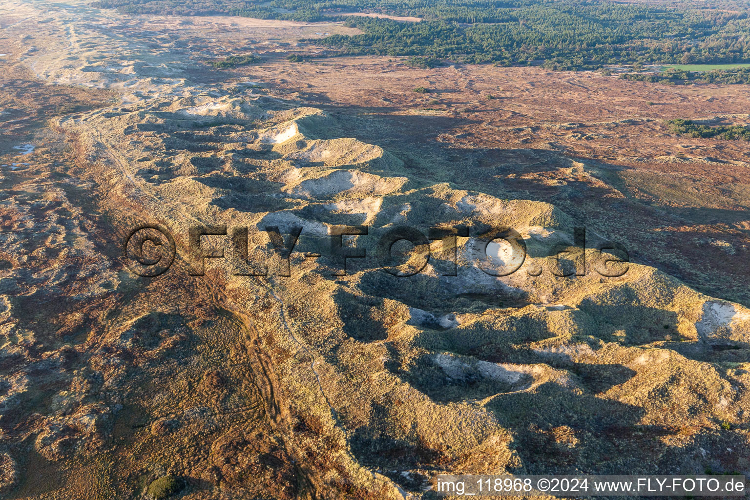 Bird's eye view of Wadden Sea National Park in Fanø in the state South Denmark, Denmark