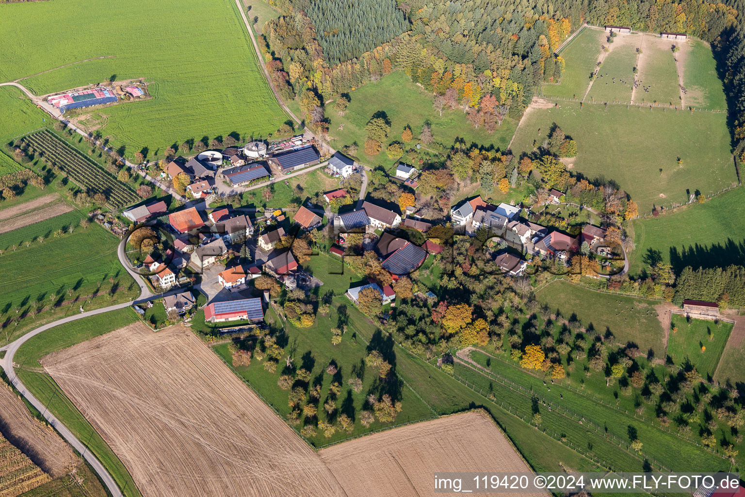 Ostrich farm Hegau-Bodensee in Stockach in the state Baden-Wuerttemberg, Germany