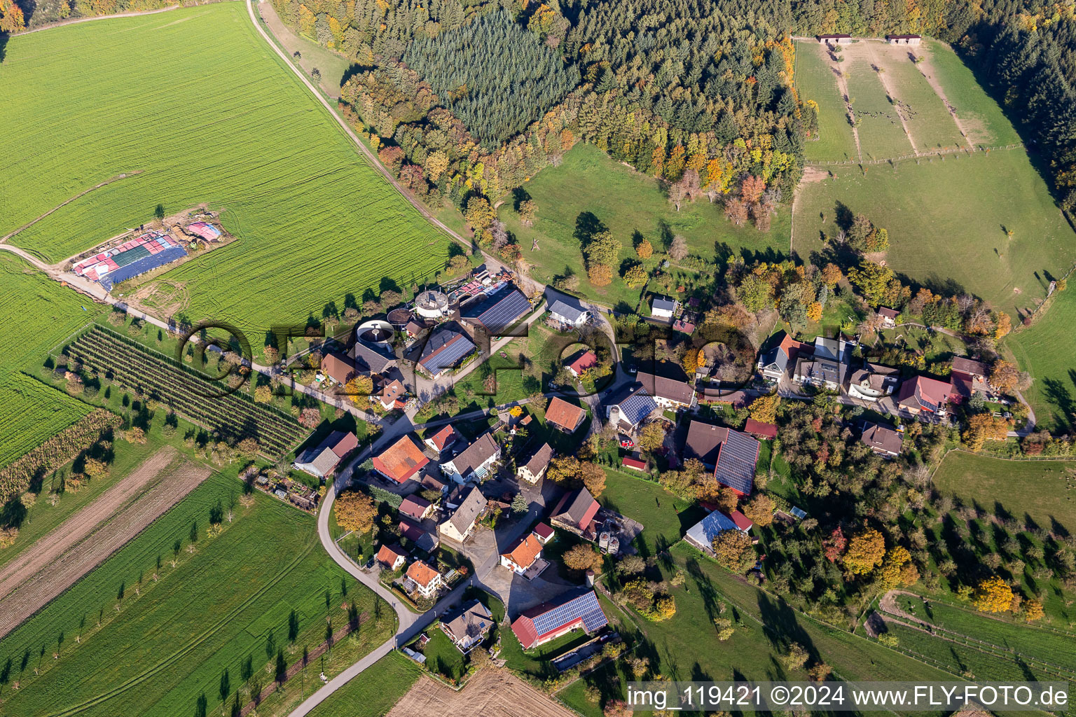 Aerial view of Ostrich farm Hegau-Bodensee in Stockach in the state Baden-Wuerttemberg, Germany