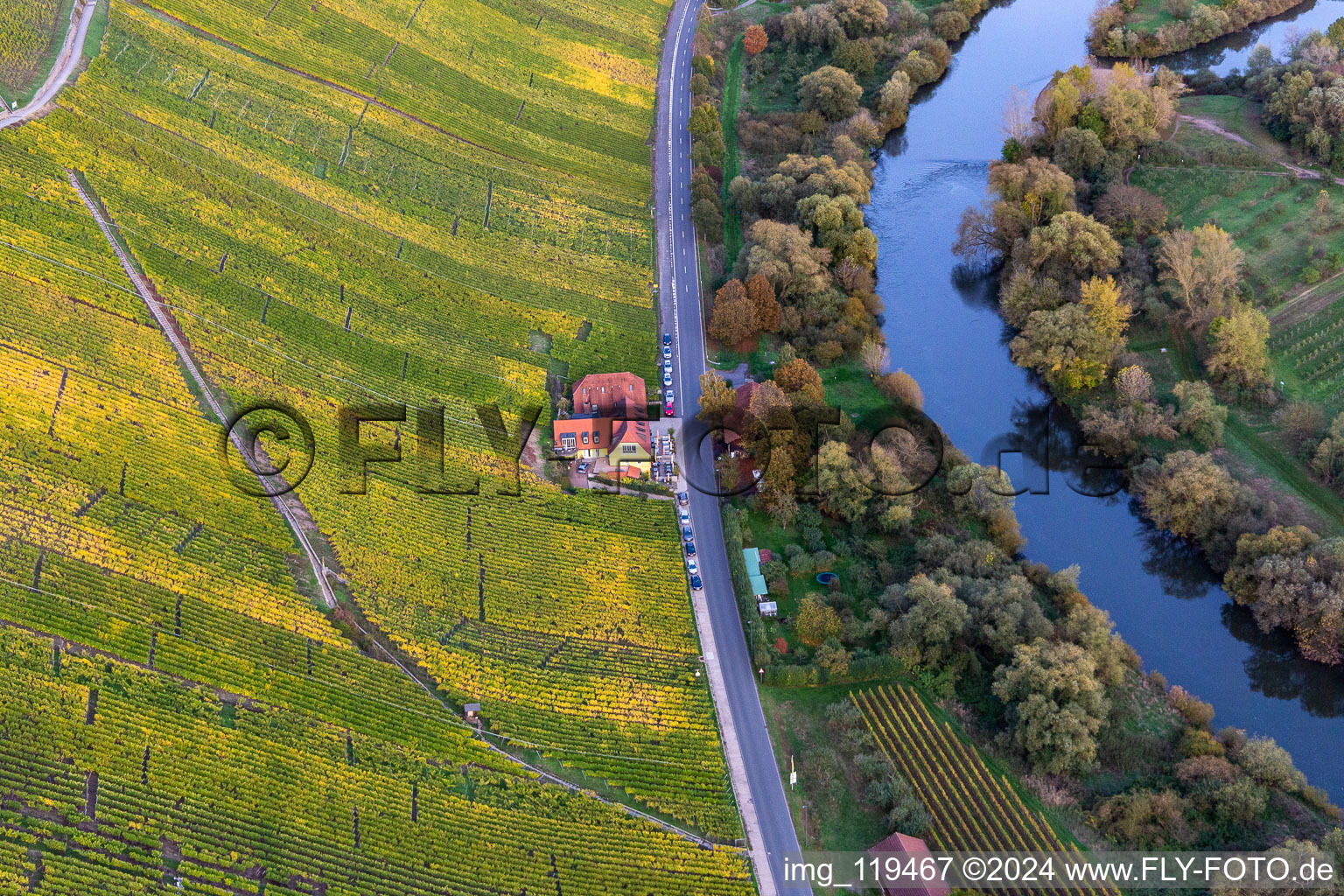 Building of the restaurant Gasthaus Mainaussicht Gifthuette in Volkach in the state Bavaria, Germany