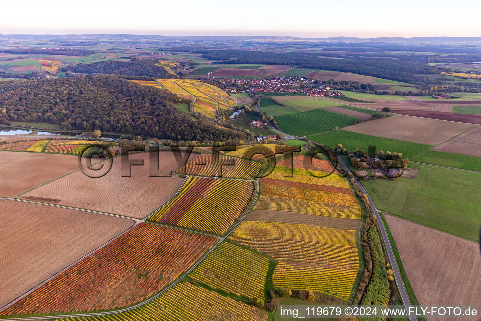 Vineyards Obervolkach in Obervolkach in the state Bavaria, Germany