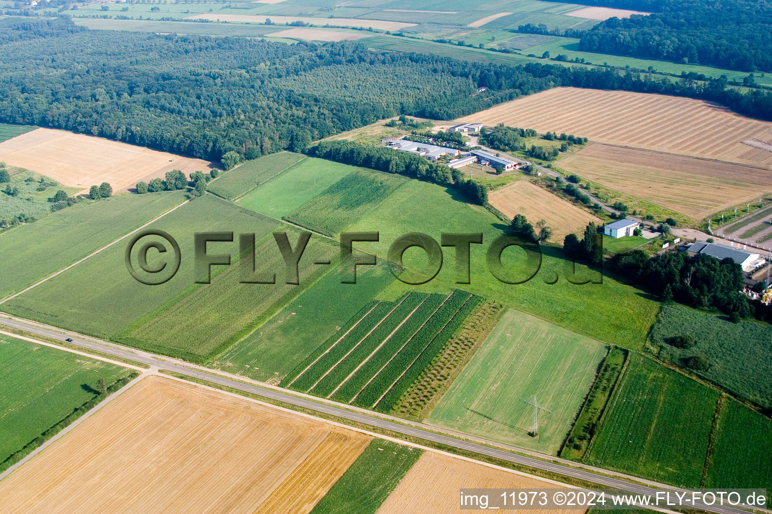 Open space at the Horstring commercial area in the district Minderslachen in Kandel in the state Rhineland-Palatinate, Germany