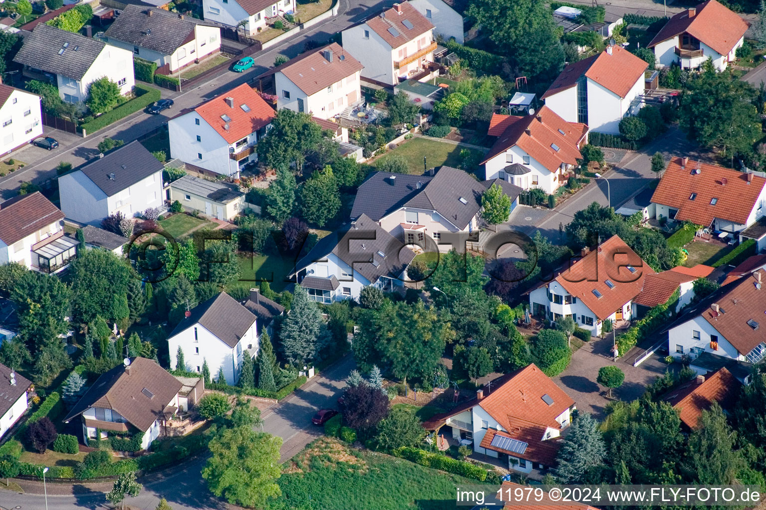 Drone image of Steinweiler in the state Rhineland-Palatinate, Germany