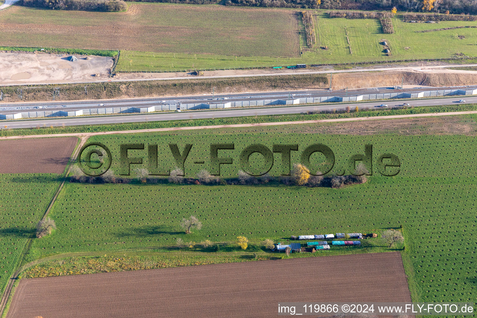 Unknown plantation on the B36 in Ötigheim in the state Baden-Wuerttemberg, Germany