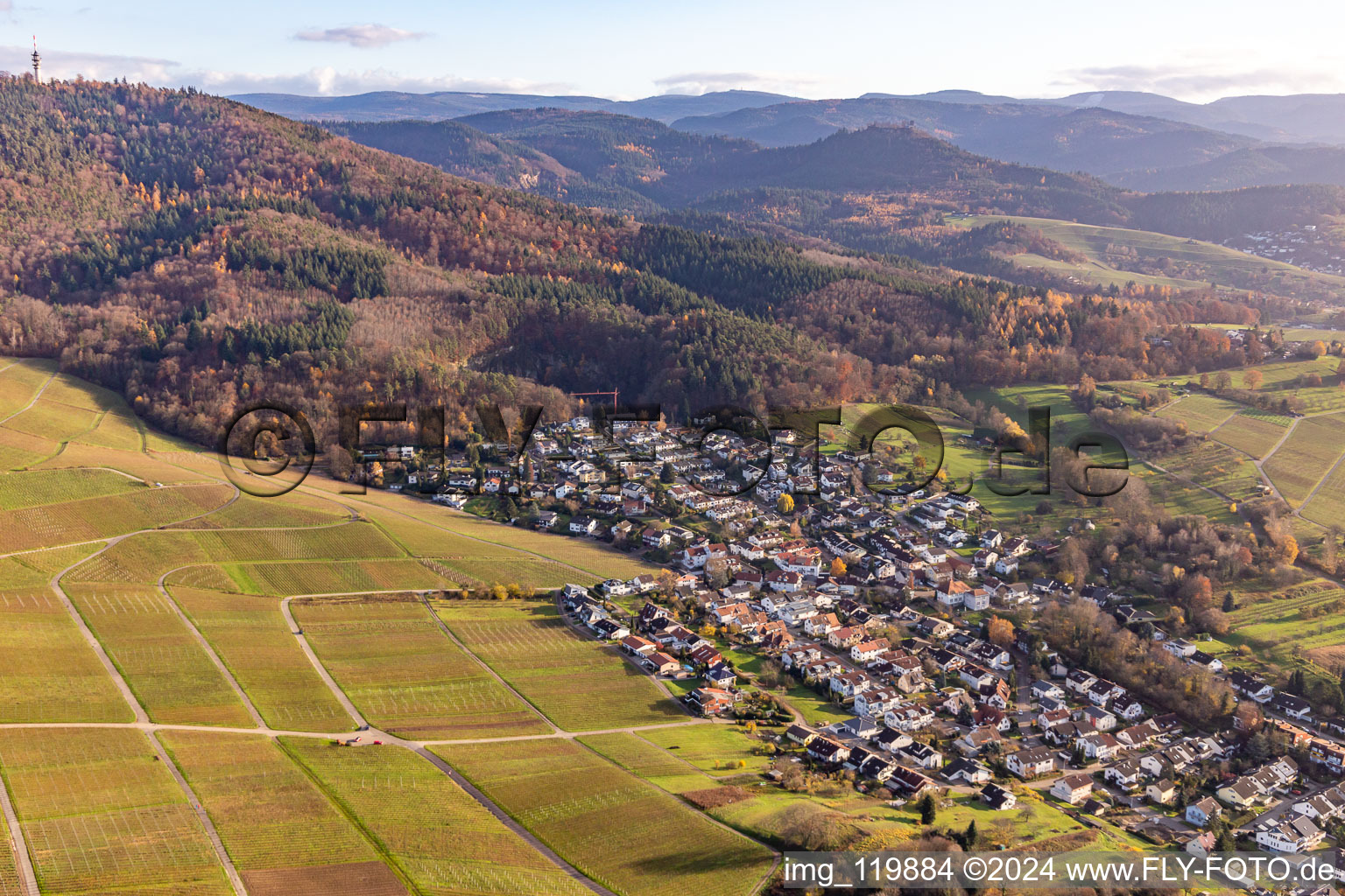 At the foot of the Fremersberg in Sinzheim in the state Baden-Wuerttemberg, Germany