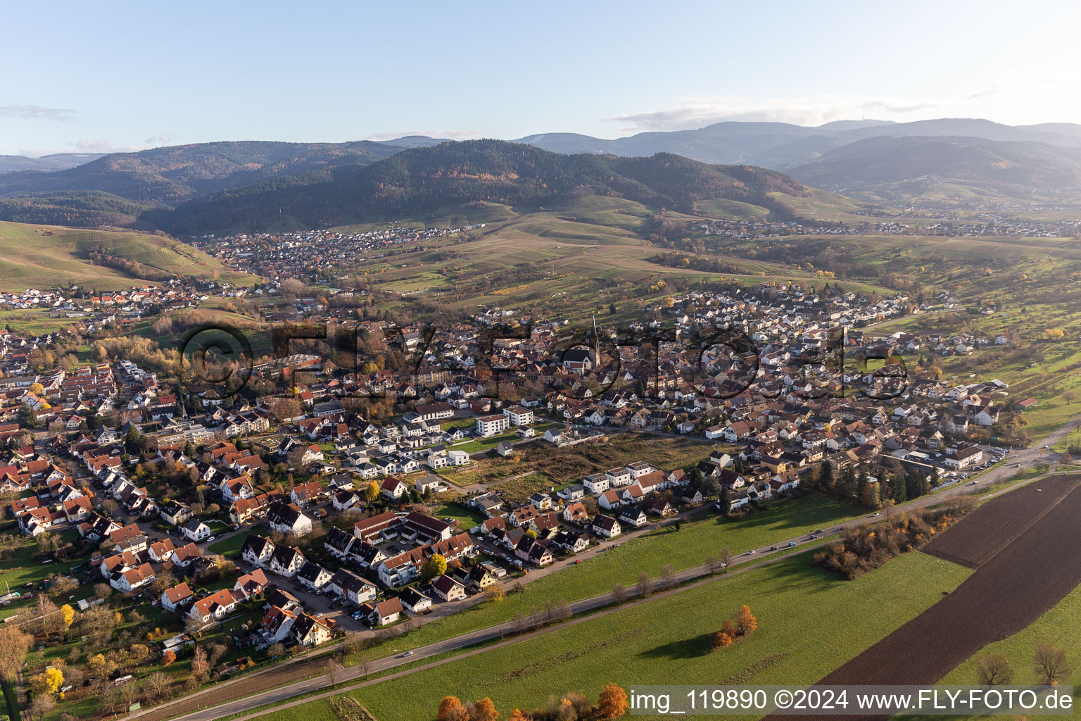 Aerial view of District Steinbach in Baden-Baden in the state Baden-Wuerttemberg, Germany