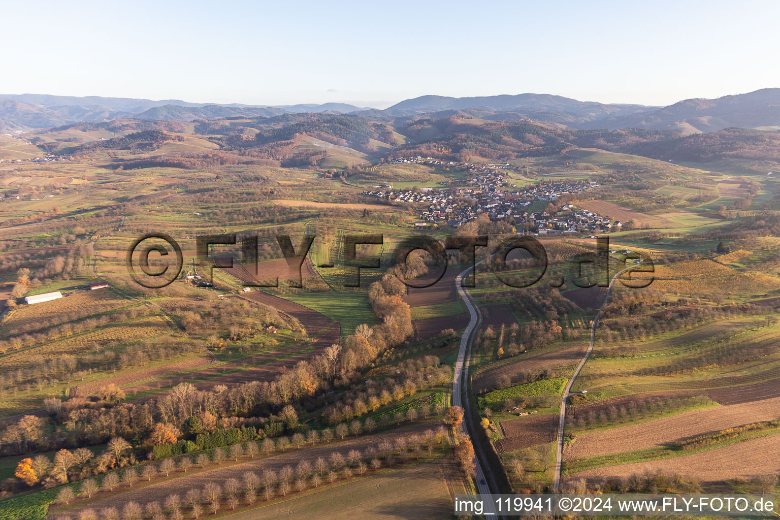 District Nesselried in Appenweier in the state Baden-Wuerttemberg, Germany out of the air