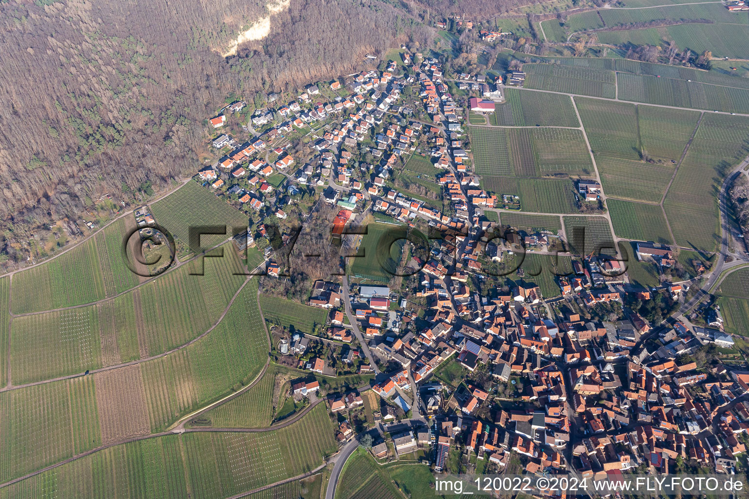 Aerial view of Frankweiler in the state Rhineland-Palatinate, Germany