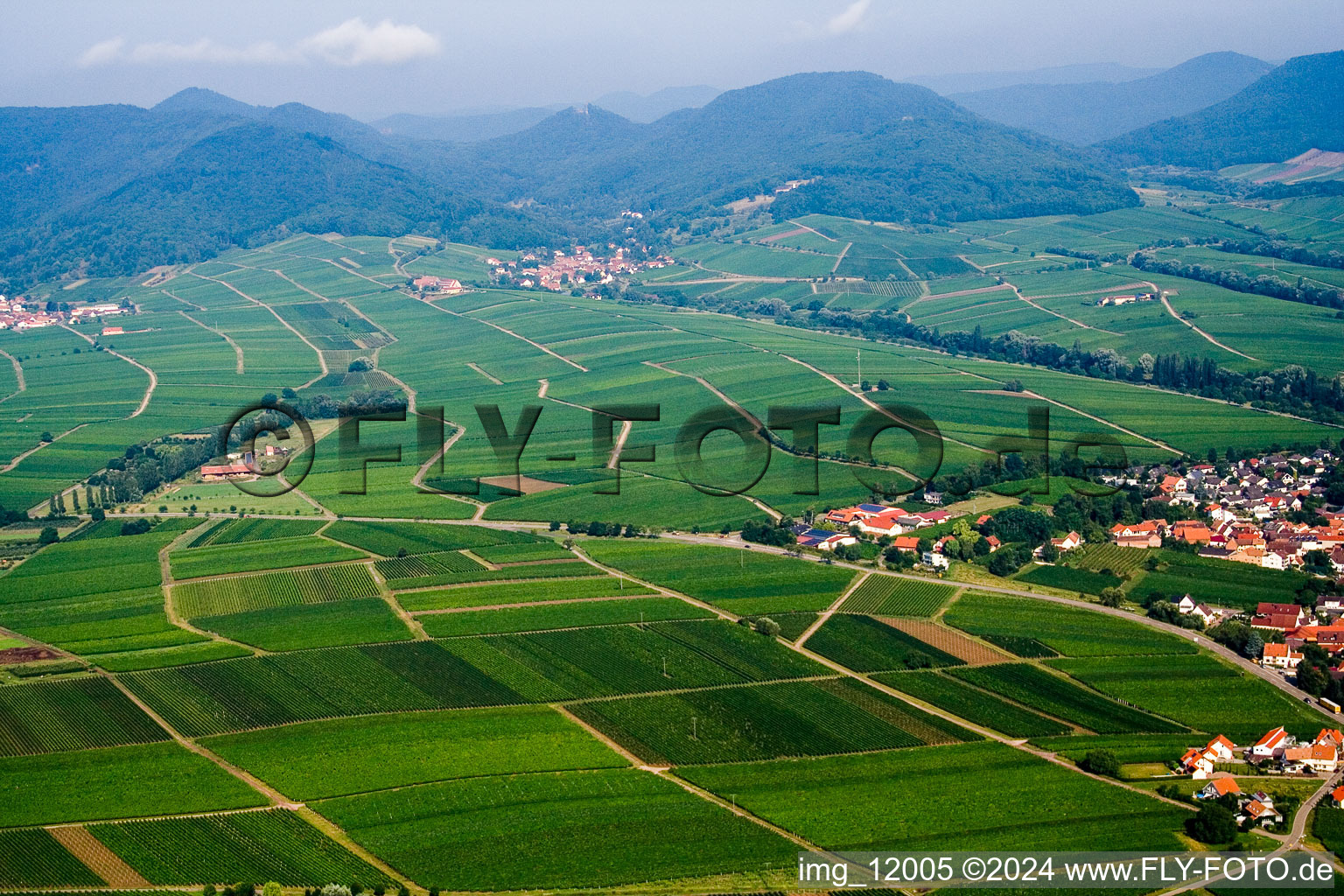 Aerial view of Leinsweiler in the state Rhineland-Palatinate, Germany