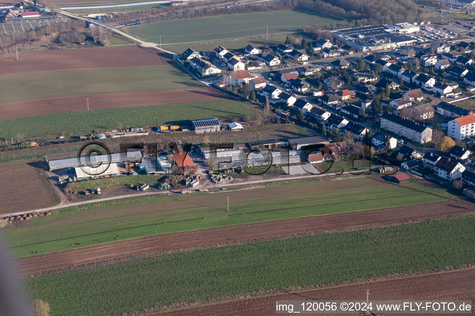 Kasa Landscape Gardener Kugelmann in Kandel in the state Rhineland-Palatinate, Germany