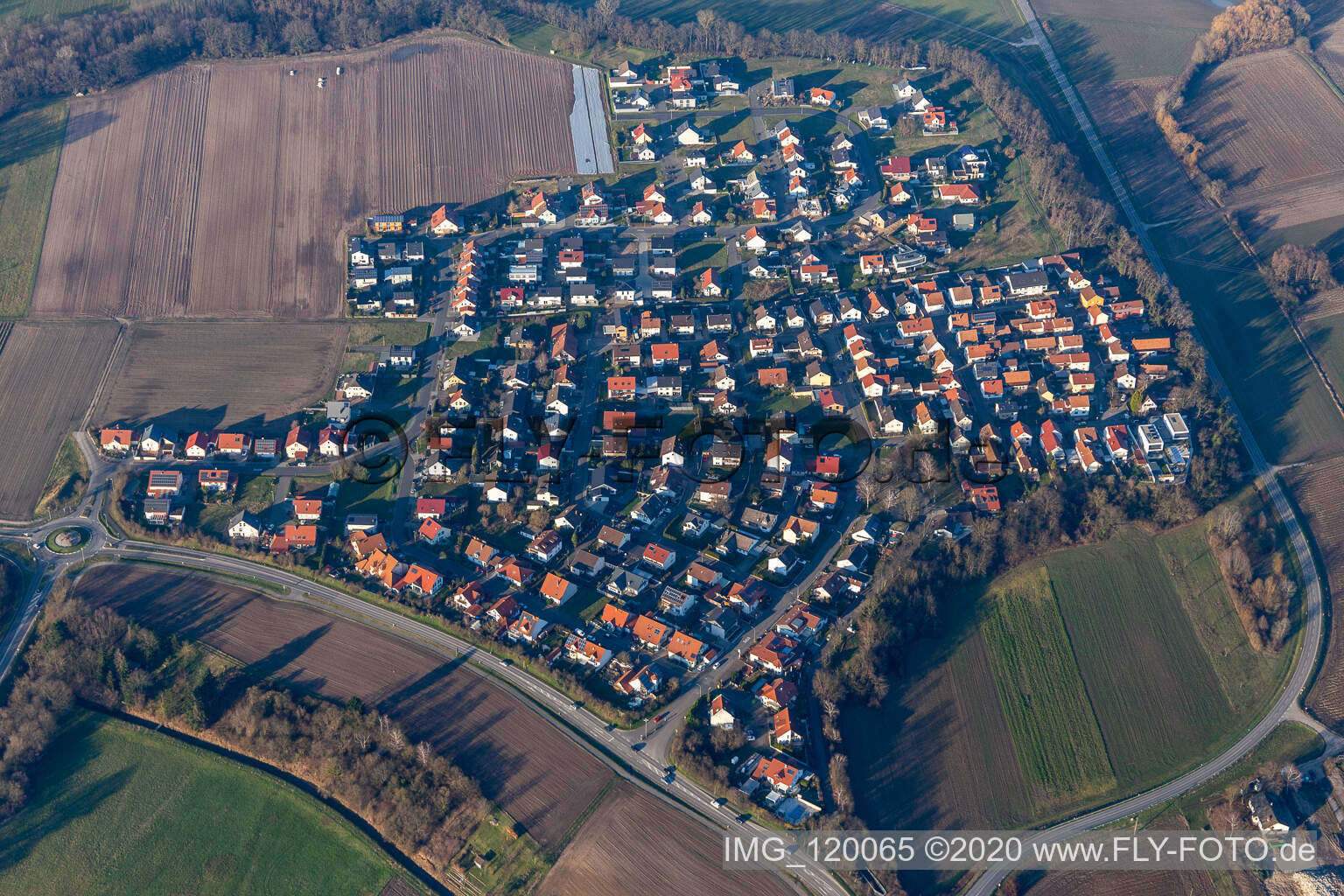 Hardtwald in Neupotz in the state Rhineland-Palatinate, Germany from above