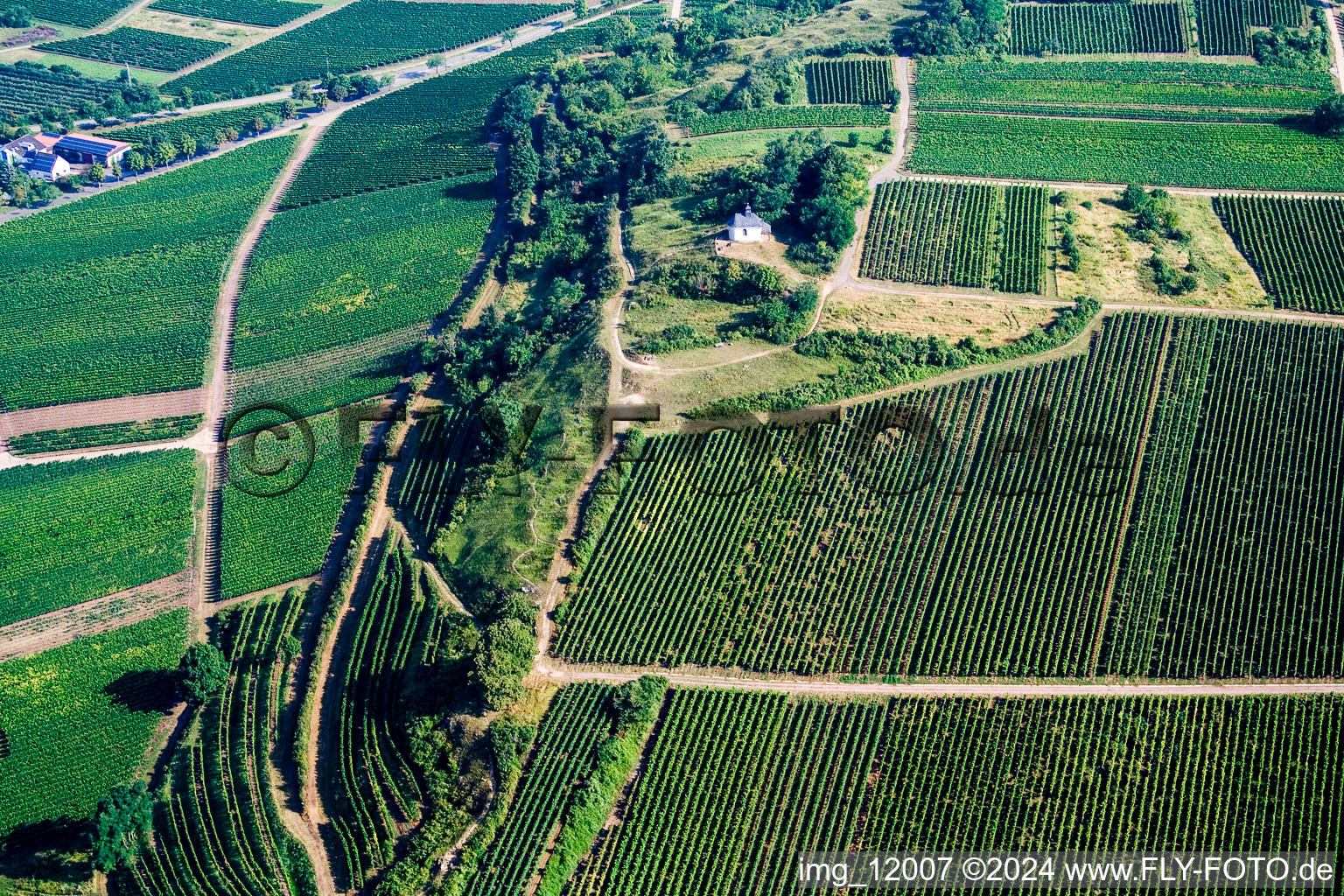 Ilbesheim bei Landau in der Pfalz in the state Rhineland-Palatinate, Germany from the drone perspective