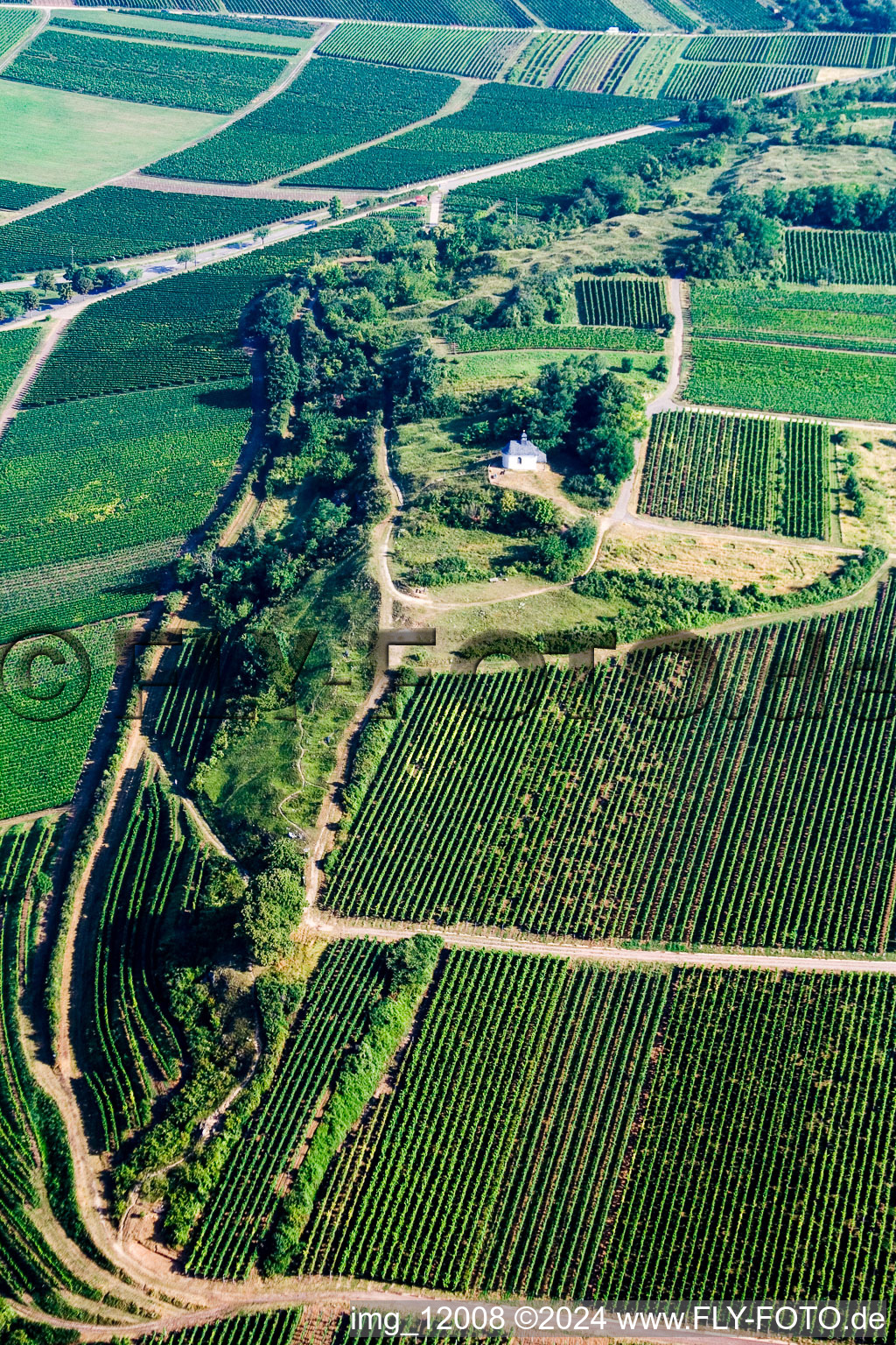 Ilbesheim bei Landau in der Pfalz in the state Rhineland-Palatinate, Germany from a drone