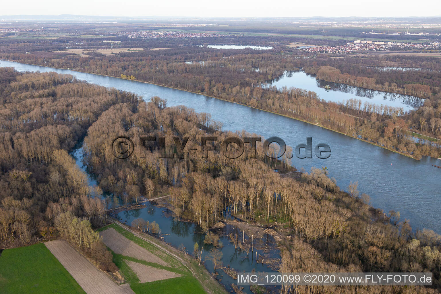 Aerial view of Floods in the Rhine floodplains in Neupotz in the state Rhineland-Palatinate, Germany
