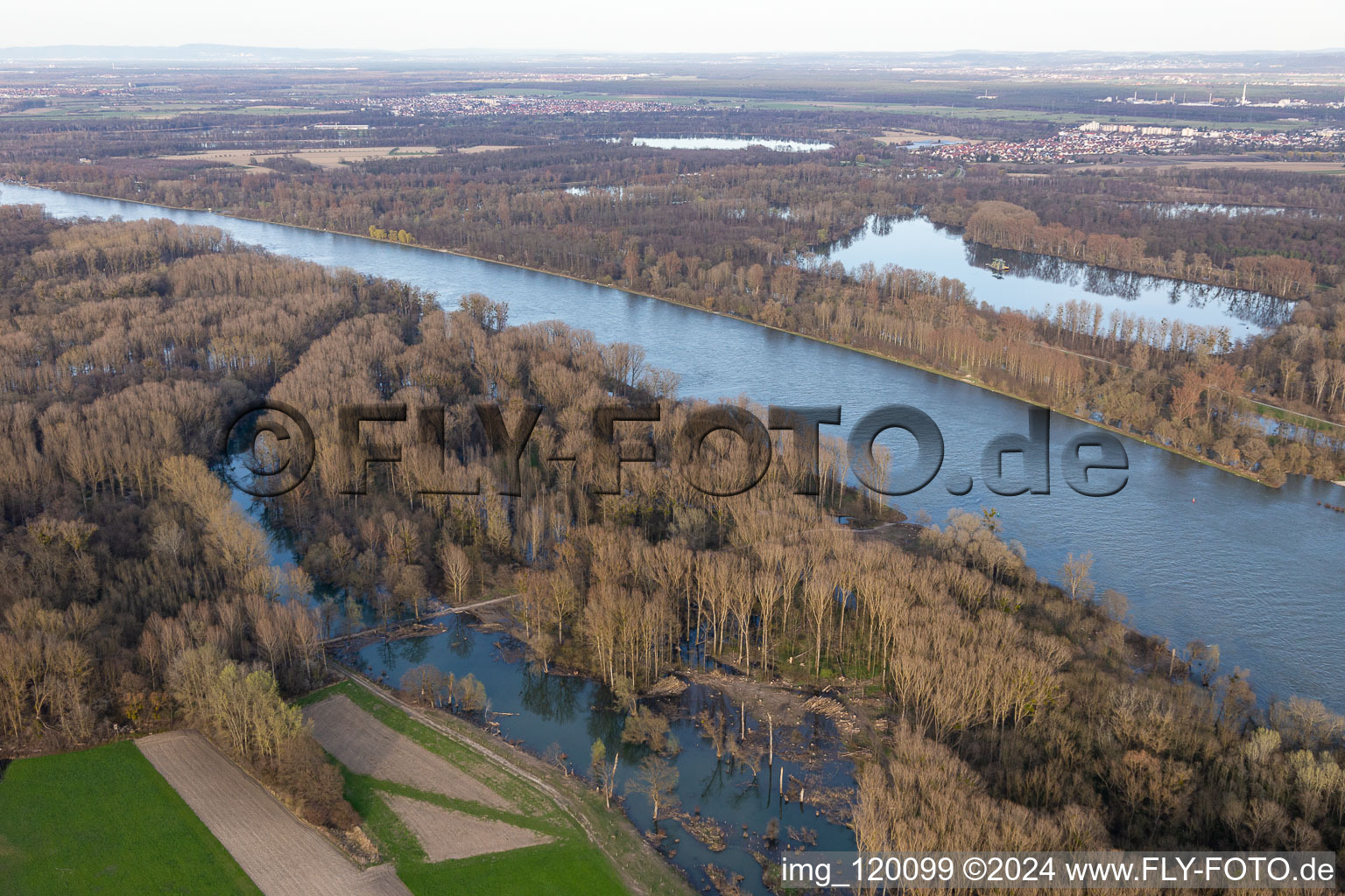 Aerial view of Floods in the Rhine floodplains in Neupotz in the state Rhineland-Palatinate, Germany