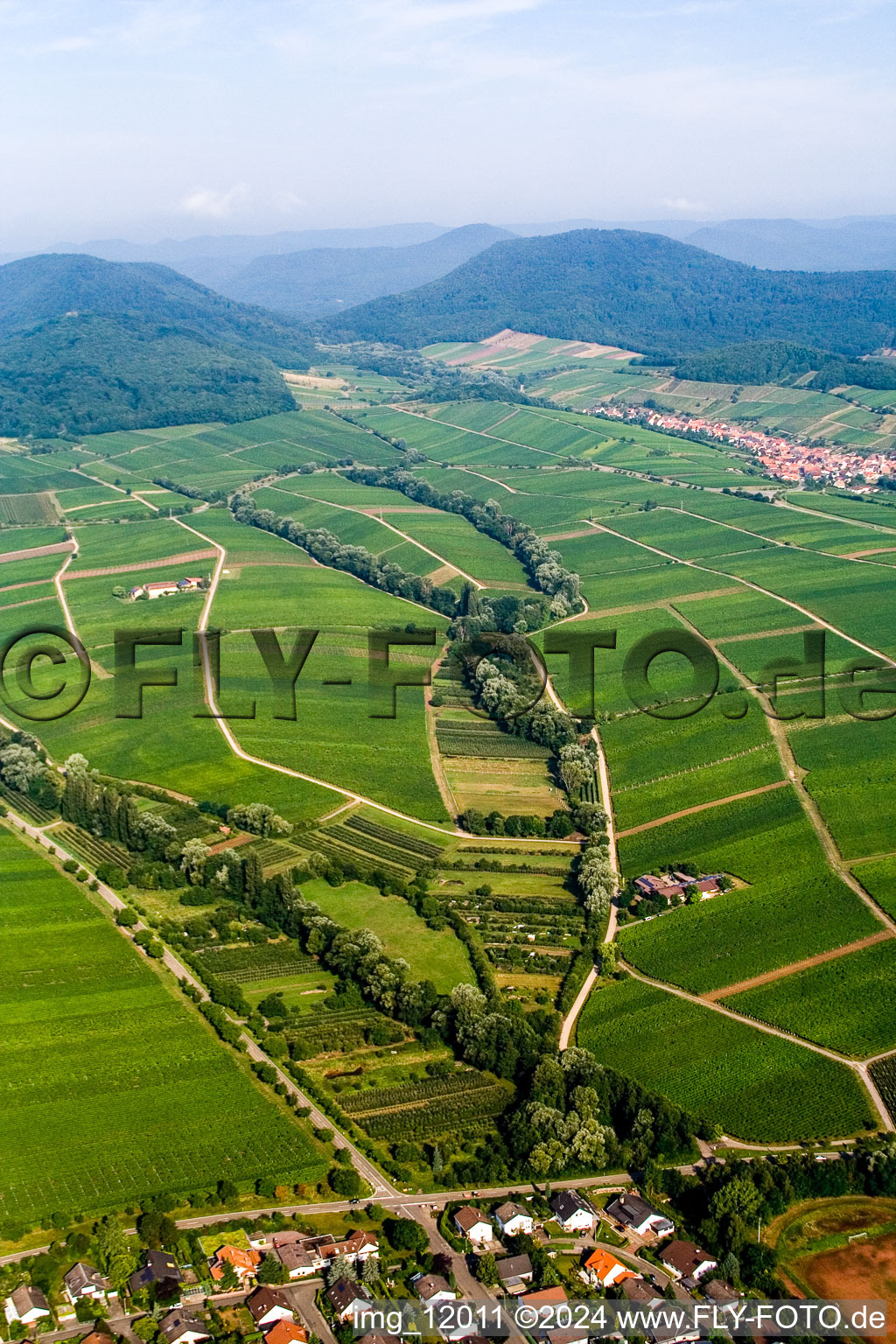 Fields of wine cultivation landscape in Ilbesheim bei Landau in der Pfalz in the state Rhineland-Palatinate