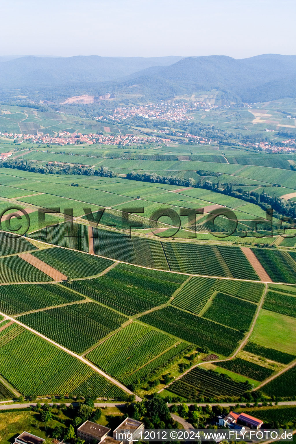 Aerial photograpy of Ilbesheim bei Landau in der Pfalz in the state Rhineland-Palatinate, Germany