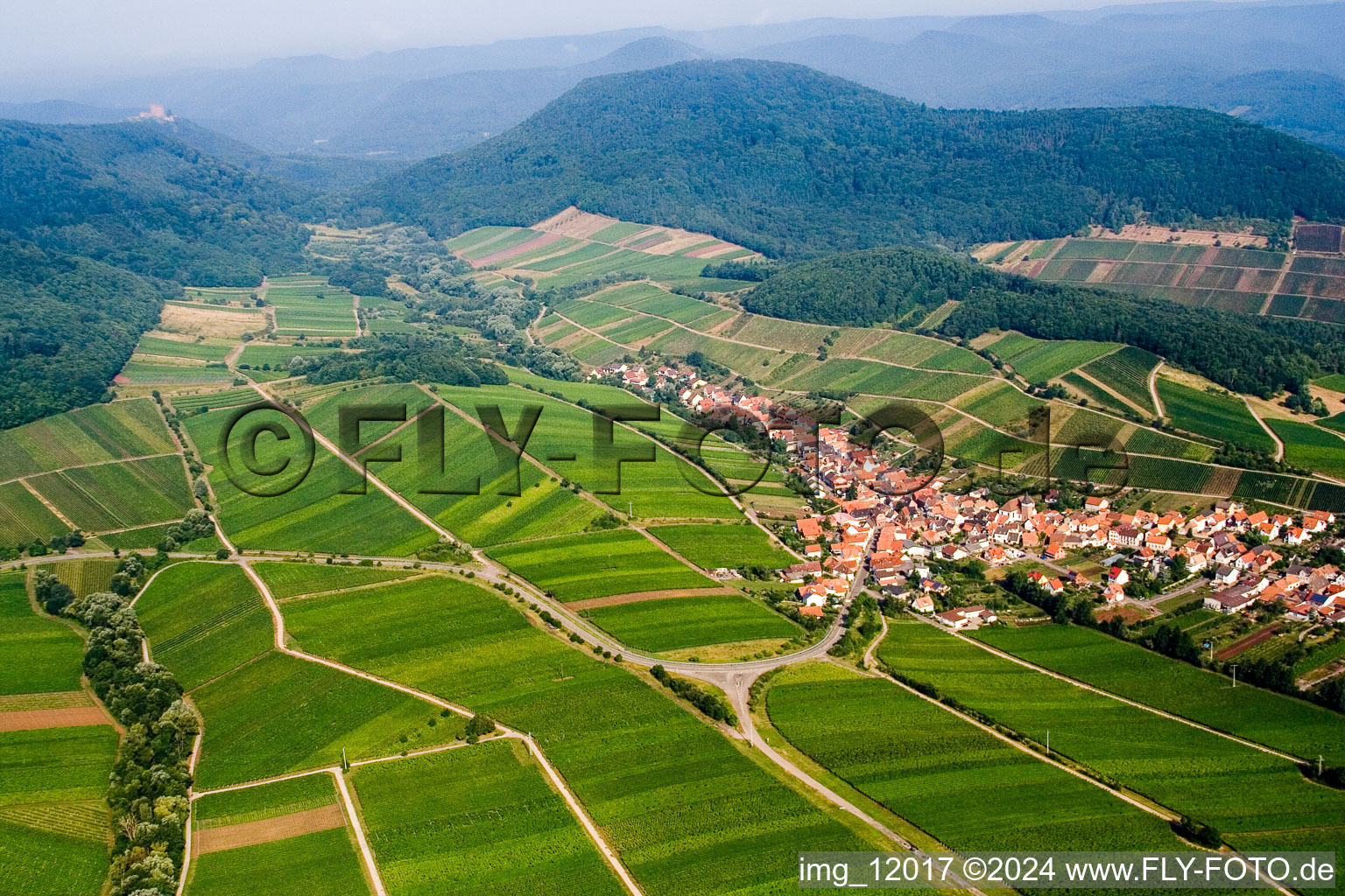 Fields of wine cultivation landscape in Ranschbach in the state Rhineland-Palatinate
