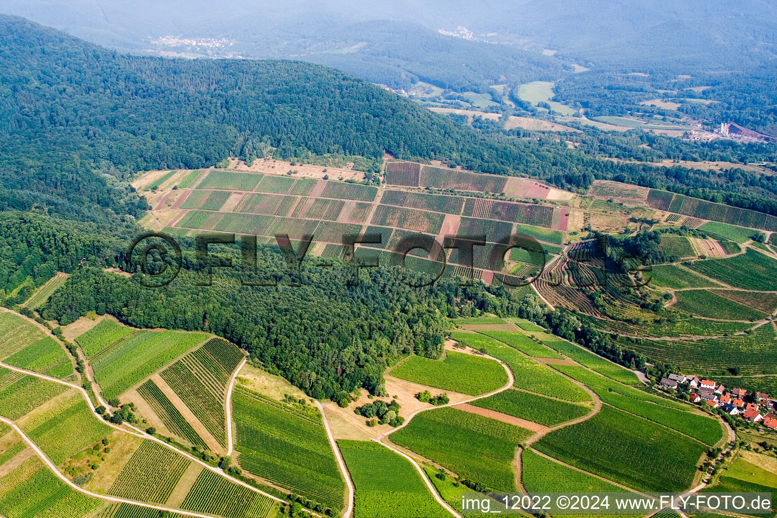 Oblique view of Ranschbach in the state Rhineland-Palatinate, Germany