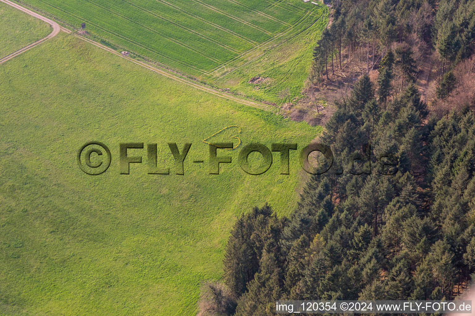 Biberach in the state Baden-Wuerttemberg, Germany out of the air