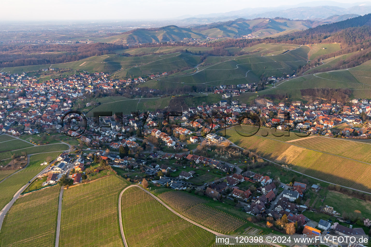 Village - view on the edge of vineyards and wineries in Fessenbach in the state Baden-Wuerttemberg, Germany