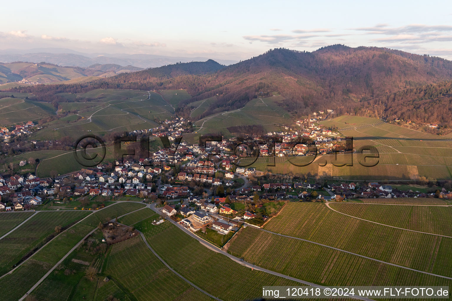 Aerial view of Village - view on the edge of vineyards and wineries in Fessenbach in the state Baden-Wuerttemberg, Germany