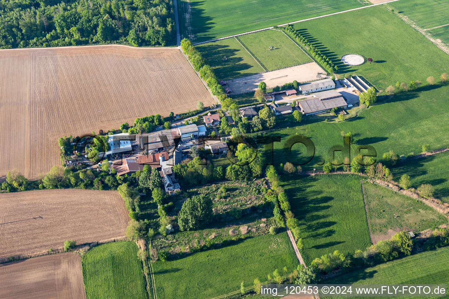 Palatino Ranch in Steinweiler in the state Rhineland-Palatinate, Germany