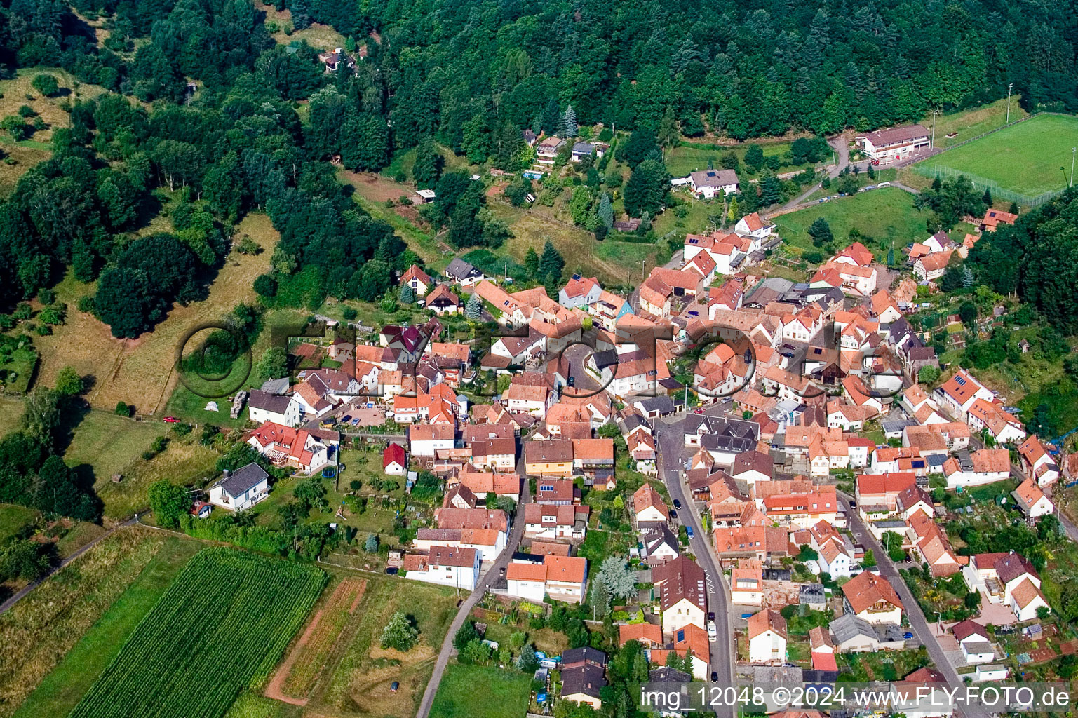 Village view in the district Gräfenhausen in Annweiler am Trifels in the state Rhineland-Palatinate, Germany