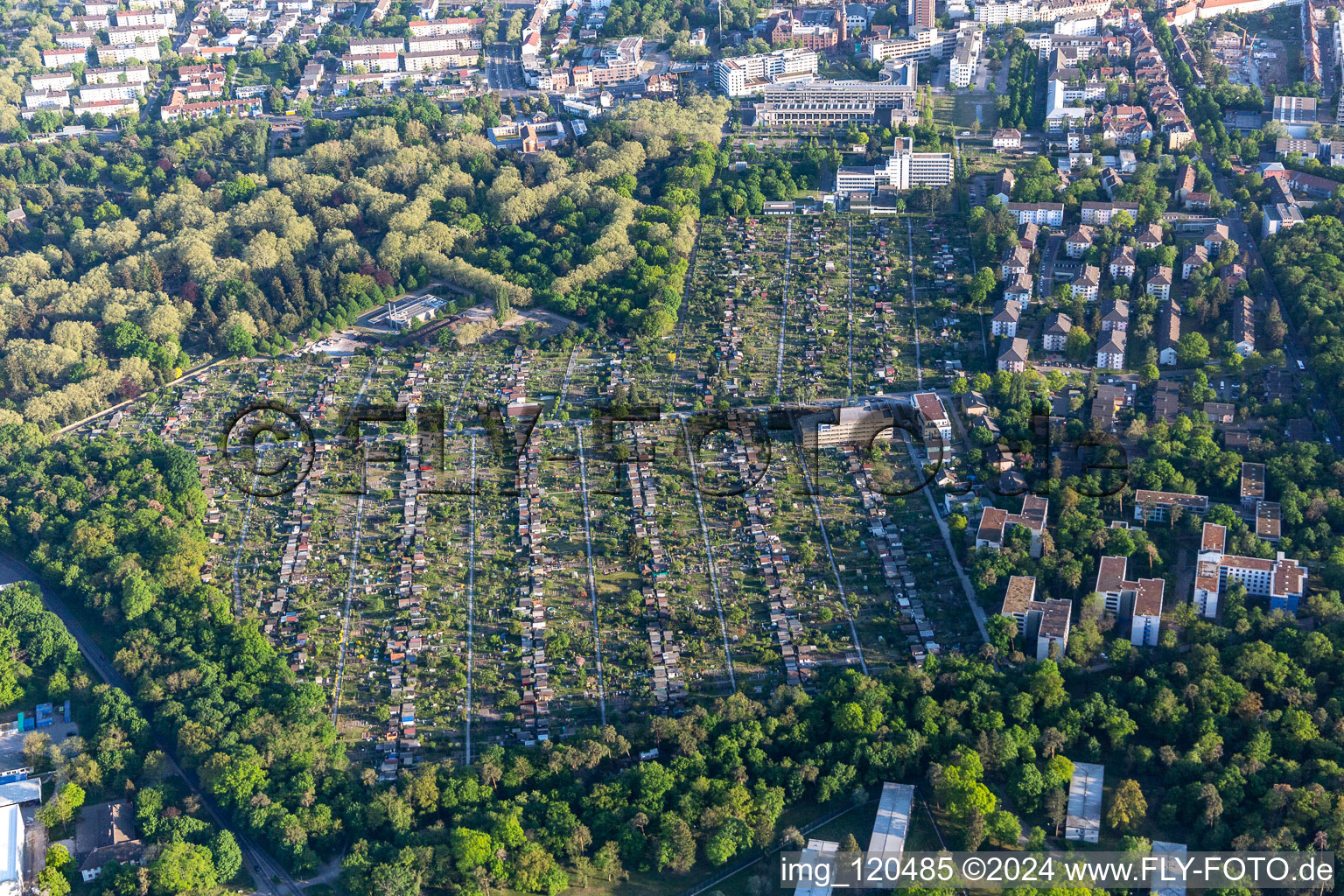 Allotment garden association Hagsfelder Allee eV in the district Oststadt in Karlsruhe in the state Baden-Wuerttemberg, Germany