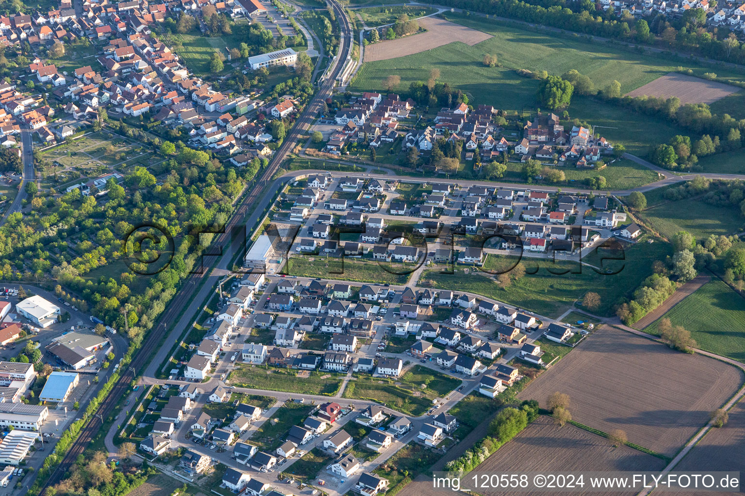 Aerial view of New development area Paul-Klee-Ring in Wörth am Rhein in the state Rhineland-Palatinate, Germany