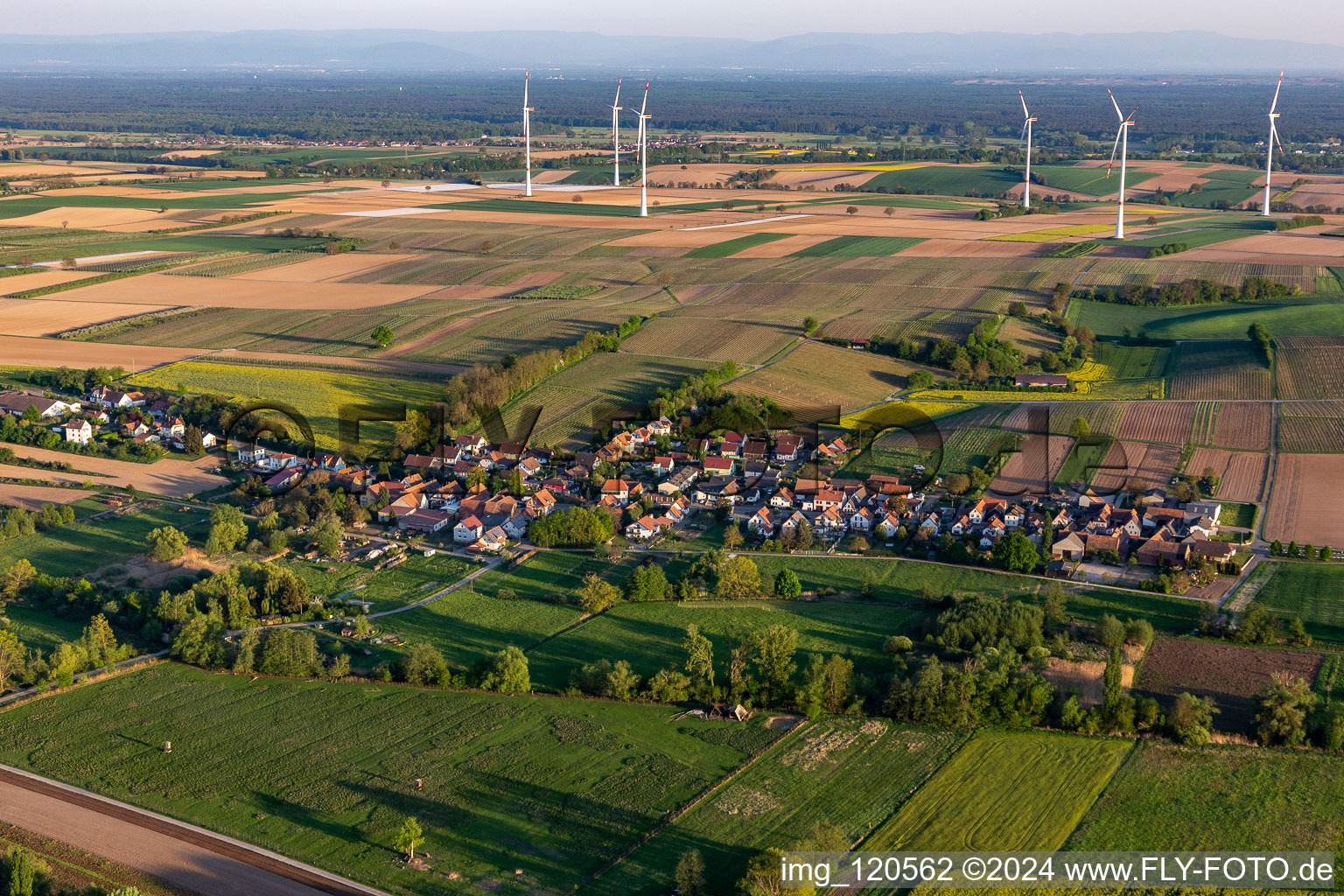 Hergersweiler in the state Rhineland-Palatinate, Germany from above