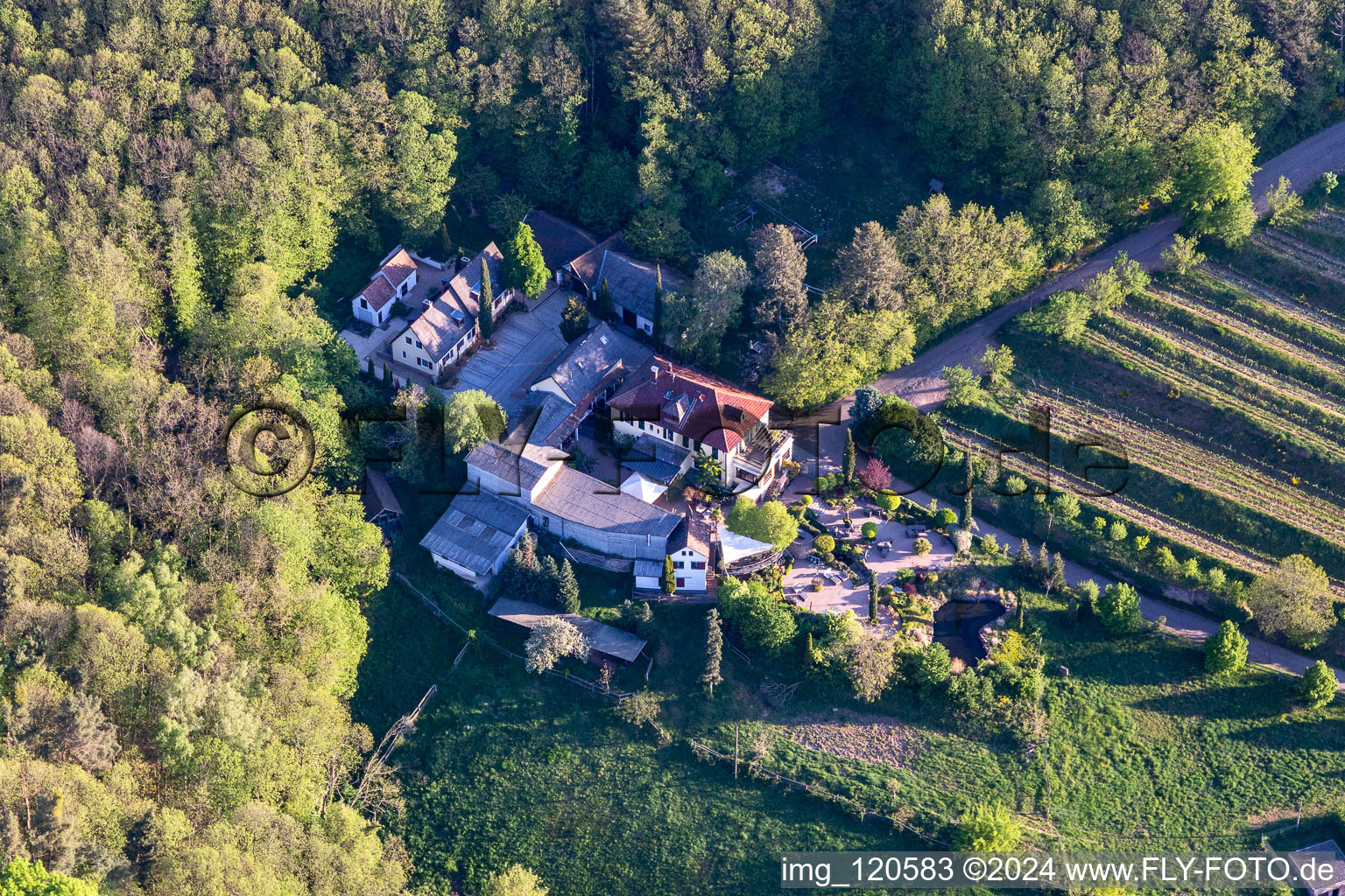 Building and manor house of the winery Sankt Annaberg in Burrweiler in the state Rhineland-Palatinate, Germany