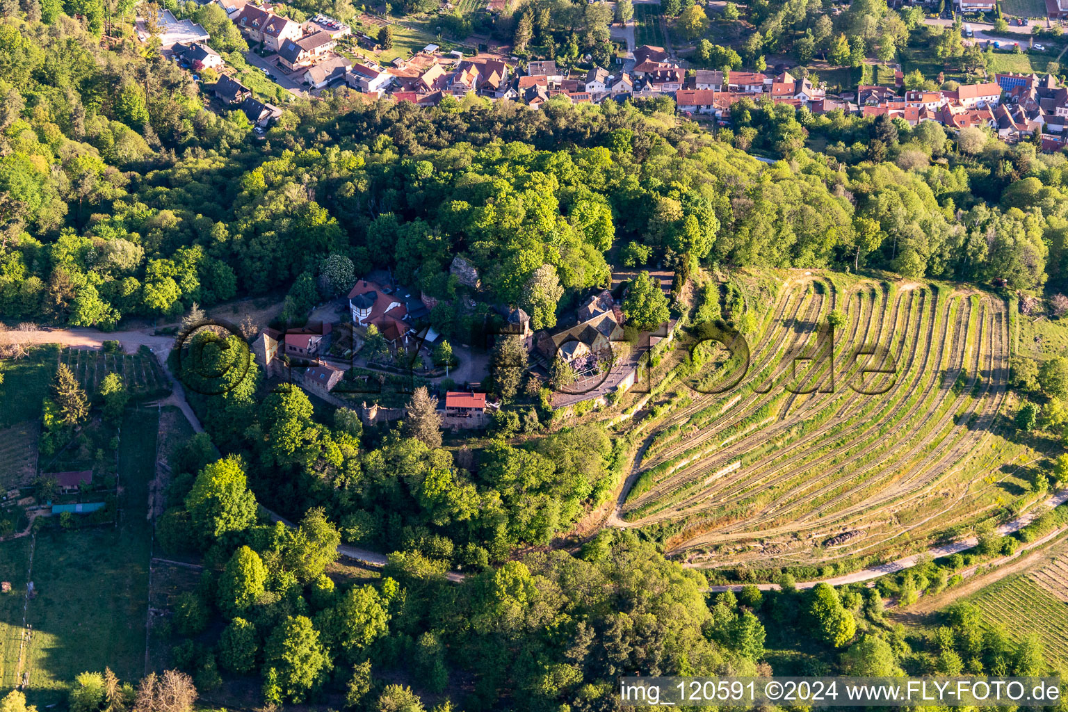 Aerial photograpy of Kropsburg Castle in Sankt Martin in the state Rhineland-Palatinate, Germany