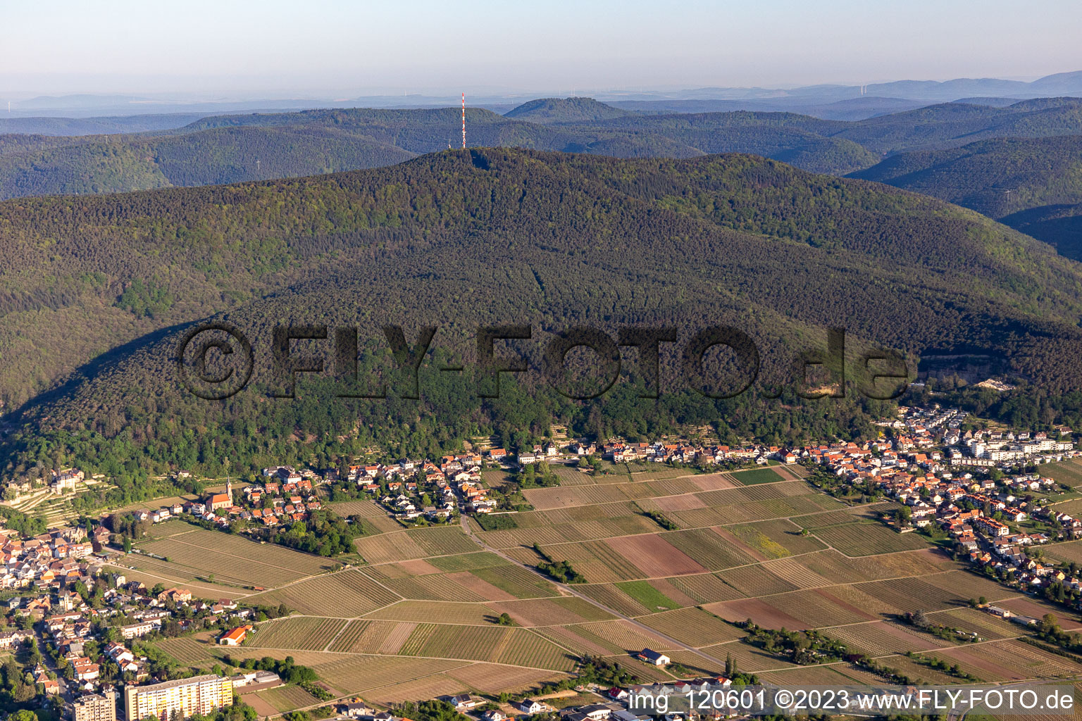 At the foot of the Weinbiet in the district Haardt in Neustadt an der Weinstraße in the state Rhineland-Palatinate, Germany