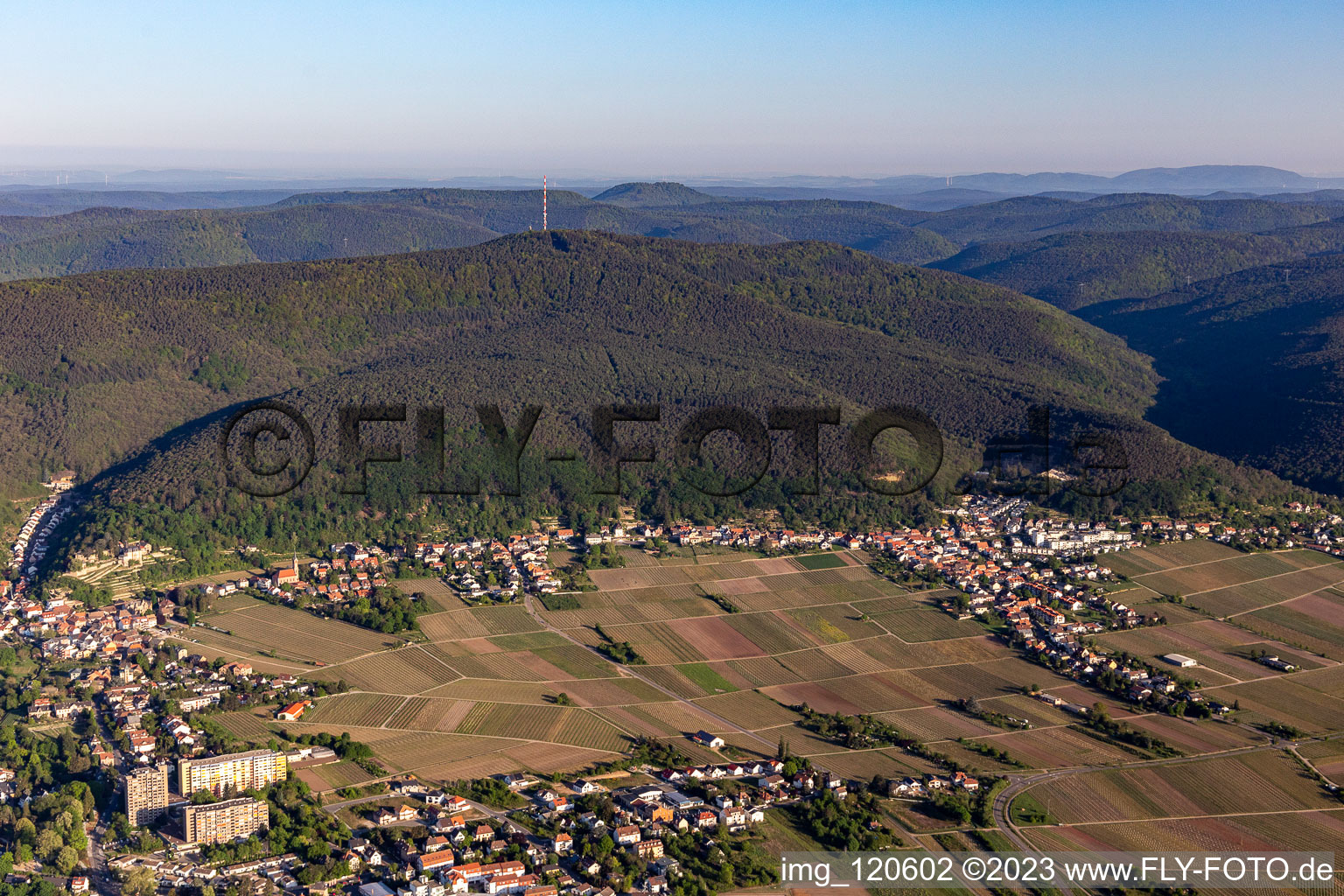 Aerial view of At the foot of the Weinbiet in the district Haardt in Neustadt an der Weinstraße in the state Rhineland-Palatinate, Germany
