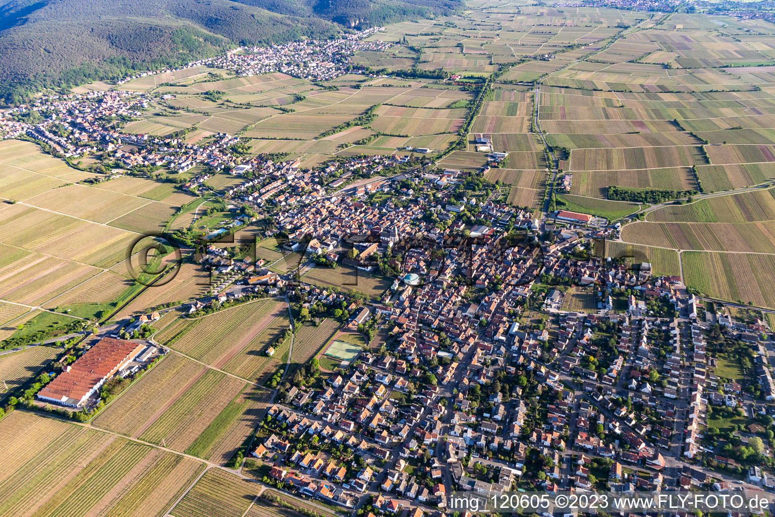 District Mußbach in Neustadt an der Weinstraße in the state Rhineland-Palatinate, Germany out of the air