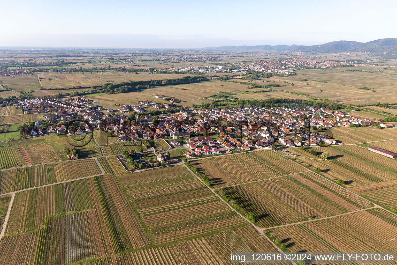 Kirrweiler in the state Rhineland-Palatinate, Germany viewn from the air