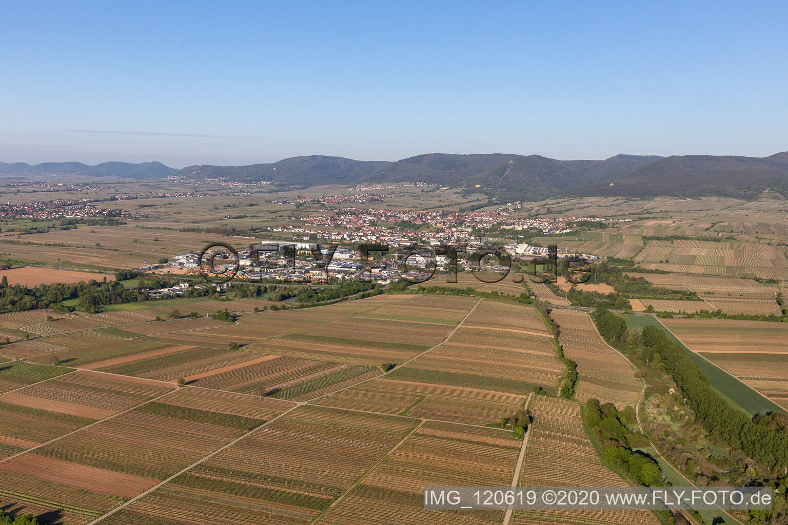 Drone recording of Edenkoben in the state Rhineland-Palatinate, Germany