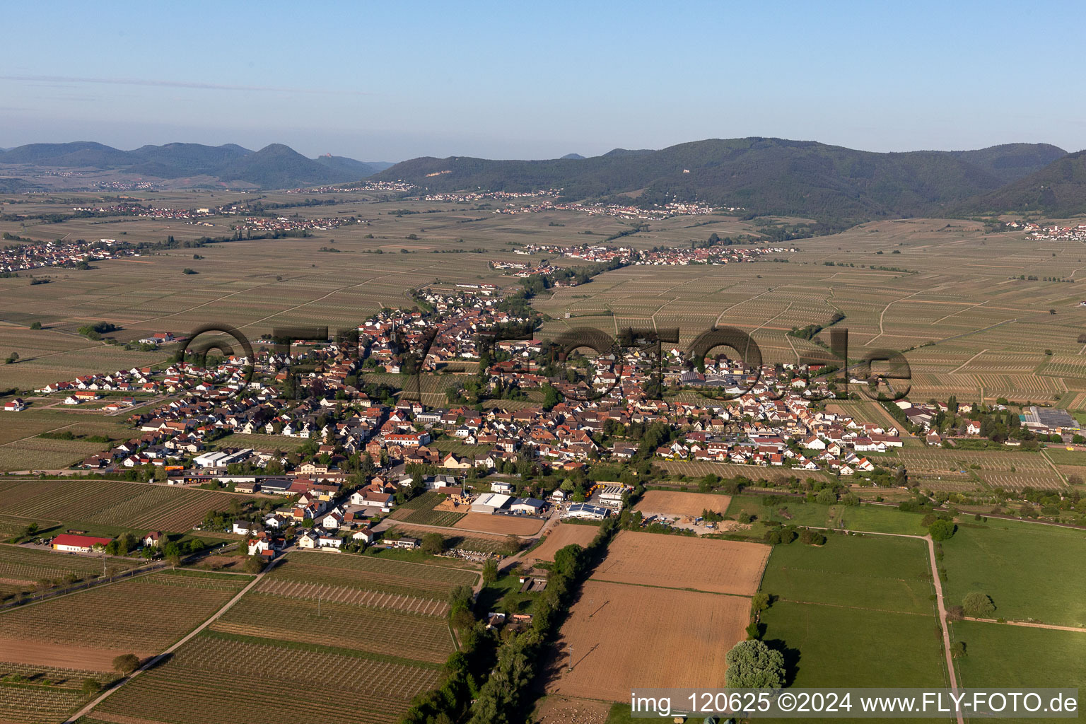 Aerial view of Town View of the streets and houses of the residential areas in Edesheim in the state Rhineland-Palatinate