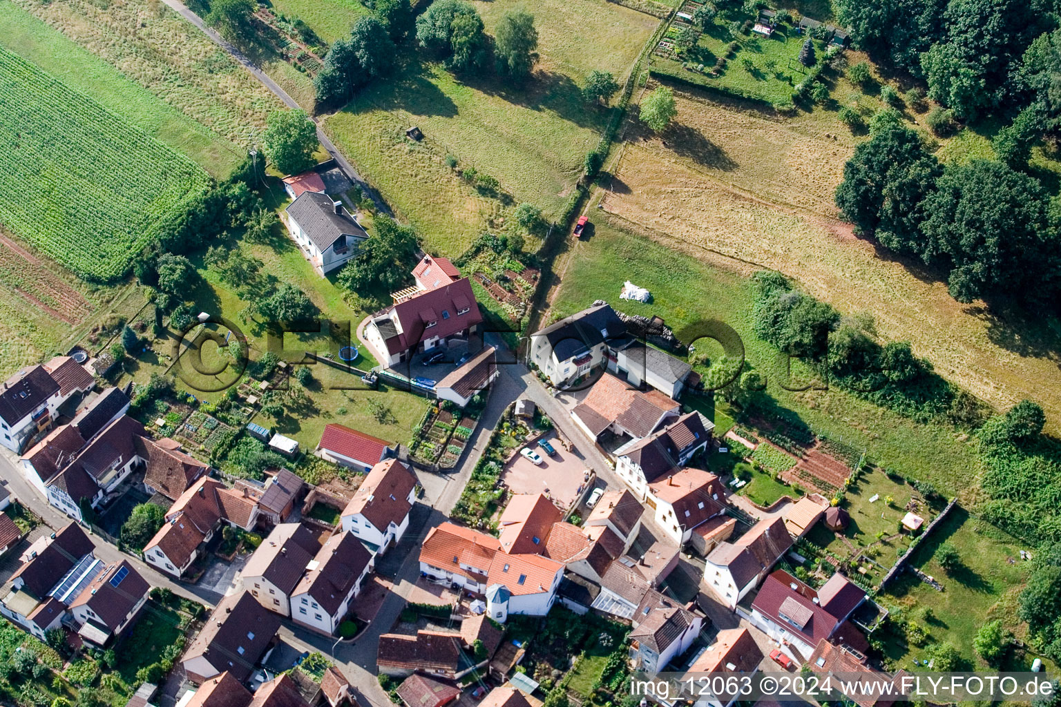 Aerial photograpy of District Gräfenhausen in Annweiler am Trifels in the state Rhineland-Palatinate, Germany